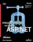 Programmare Microsoft ASP.NET