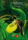 Orchidee spontanee del Veneto
