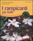 I rampicanti pił belli. Spalliere, pergolati, pareti fiorite I rampicanti pił belli. Spalliere, pergolati, pareti fiorite