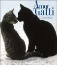 Amor di gatti
