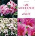 I miei rododendri e azalee