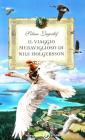 Il viaggio meraviglioso di Nils Holgersson