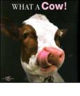 What a cow!