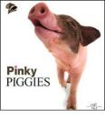 Pinky Piggies. Ediz. inglese