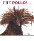 Che pollo!...