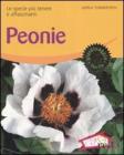 Peonie. Le specie pił tenere e affascinanti Peonie. Le specie pił tenere e affascinanti