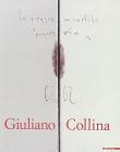 Giuliano Collina. Animi domus. Ediz. italiana e inglese