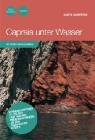 Die Unterwasserwelt von Capraia