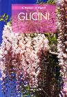 Glicini