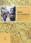 Dove va l'Africa? Analisi spazio-temporale dell'afropessimismo politico