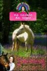 Un cavallo da sogno. Storie di cavalli vol.1