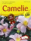 Camelie