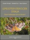 Lepidotteri Eteroceri d'Italia Geometridae Ennominae I