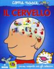Il cervello. Con adesivi