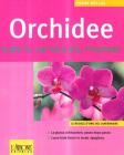 Orchidee. Tutte le varietà più rinomate Orchidee. Tutte le varietà più rinomate