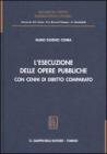 L' esecuzione delle opere pubbliche con cenni di diritto comparato