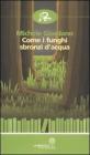 Come i funghi sbronzi d'acqua