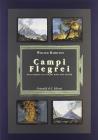Campi Flegrei. Osservazioni sui vulcani delle Due Sicilie