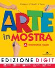 Arte in mostra. Vol. A-B. Con espansione online. Per la Scuola media. Con DVD-ROM