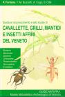 Guida al riconoscimento e allo studio di cavallette, grilli, mantidi e insetti affini del Veneto. Con CD Audio