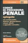 Codice di procedura penale spiegato. E-book