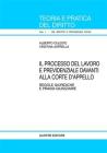 Il processo del lavoro e previdenziale davanti alla corte d'appello. Regole giuridiche e prassi giudiziarie