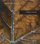 Bellezza e povert�