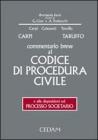 Commentario breve al Codice di procedura civile e alle disposizioni sul processo societario