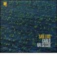 Carlo Valsecchi. San Luis. Catalogo della mostra (Rovereto, 19 novembre 2011-26 febbraio 2012). Ediz. italiana e inglese
