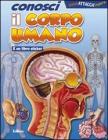 Conosci il corpo umano