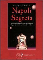 Napoli segreta. Breve viaggio esoterico nella citt� dei misteri tra leggende, miracoli e magie, da Iside ad Internet