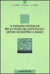 Le indagini geofisiche per lo studio del sottosuolo: metodi geoelettrici e sismici