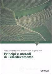 Principi e metodi di telerilevamento