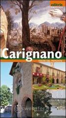 Guida-ritratto della citt� di Carignano