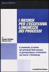 I ricorsi per l'eccessiva lunghezza dei processi