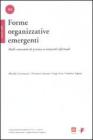 Forme organizzative emergenti. Dalle comunit� di pratica ai network informali