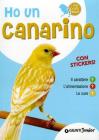 Ho un canarino. Con adesivi