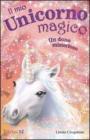Un dono misterioso. Il mio unicorno magico vol.14