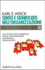 Senso e significato nell'organizzazione. Alla ricerca delle ambiguit� e delle contraddizioni nei processi organizzativi