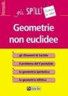 Geometrie non euclidee