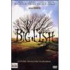 Big Fish. Le storie di una vita incredibile