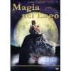 Magia nel lago