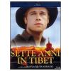 Sette anni in Tibet (Blu-ray)