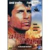 La furia del marine