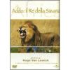 Addo. Il re della savana