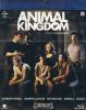 Animal Kingdom (Blu-ray)