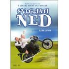 Svegliati Ned