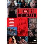 Fiore bruciato