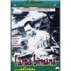 L' arpa birmana L' arpa birmana