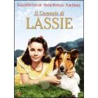 Il coraggio di Lassie